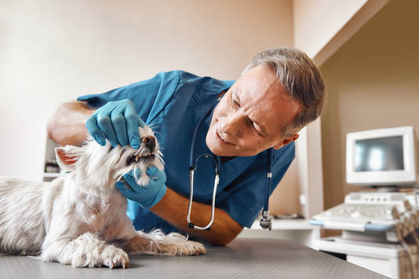 Best Emergency Denture Repair in Mccord, OK
